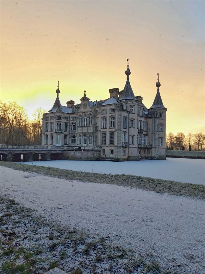 Detail van het kasteel van Poeke